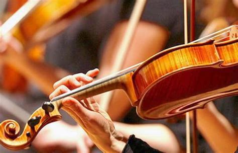 Vienna Philharmonic Orchestra Tickets - StubHub