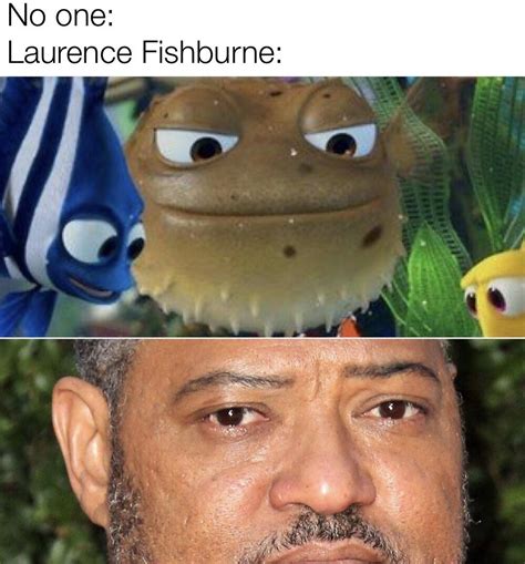 Someone tell me why he looks like that fish from nemo : r/memes