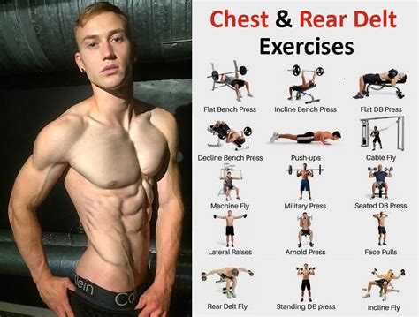 Chest Exercises and Rear Delt Exercises | EFitnessHelp