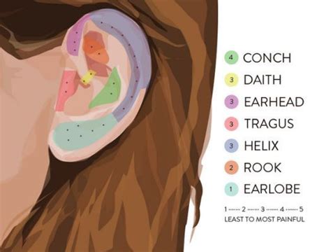 ear piercing pain chart | Ear piercing guide, Ear piercings chart, Ear piercings