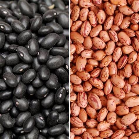 Black Beans vs. Pinto Beans: What's the difference? - Keeping the Peas