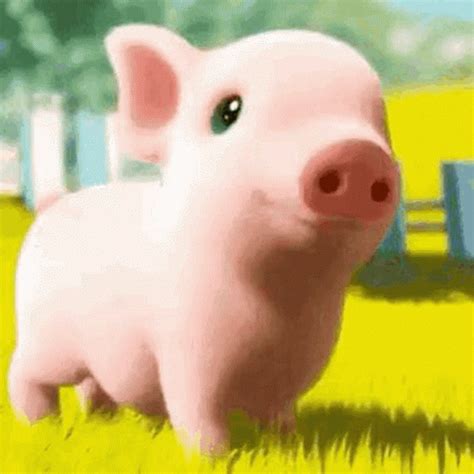 Happy Birthday Pigs Animated