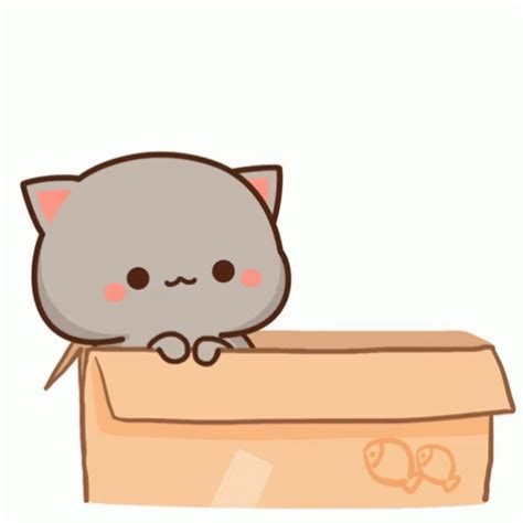 Kitty Love GIF - Kitty Love KittensInABox - Discover & Share GIFs ...