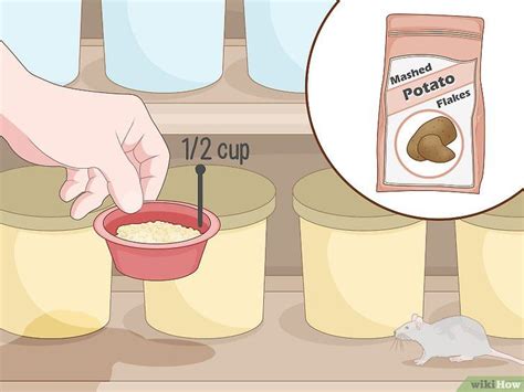 4 Formas de Fazer Veneno Para Rato - wikiHow Rat Poison Diy Baking Soda ...