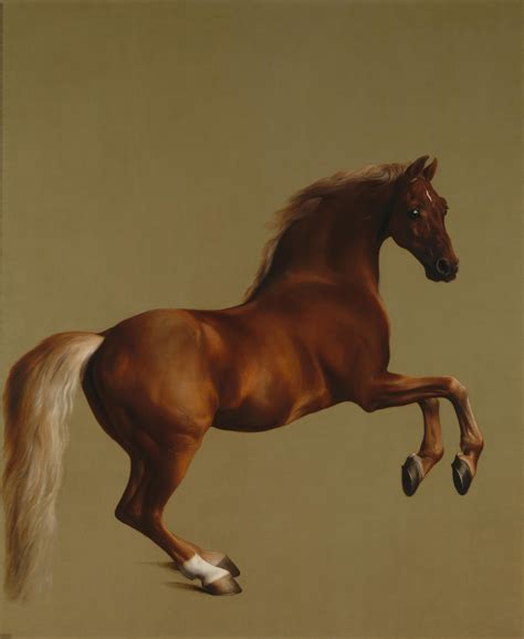 PAINTINGS GALLERIES: PAINTING HORSES: George Stubbs, Painting Anatomy