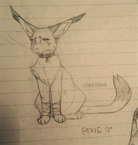 Another drawing of Pixie! uwu💞💞//☆Kåt☆ (@otakucat) | Warrior cats art ...