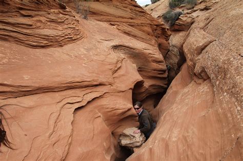 Colorado Plateau: Desert Canyons and Cultures - Wild Rockies Field ...