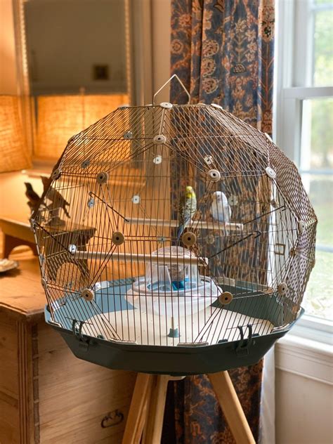 Geo bird cage the parakeets get a new home – Artofit