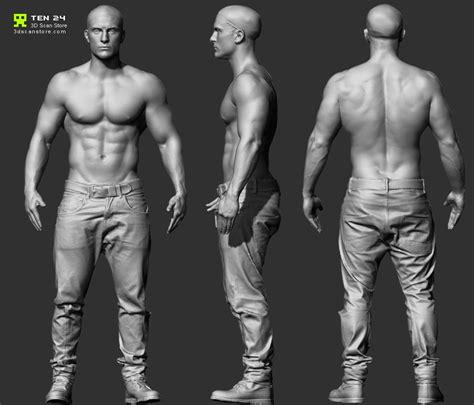 Reference Character Models - Page 6 | Character modeling, Anatomy reference, Human anatomy