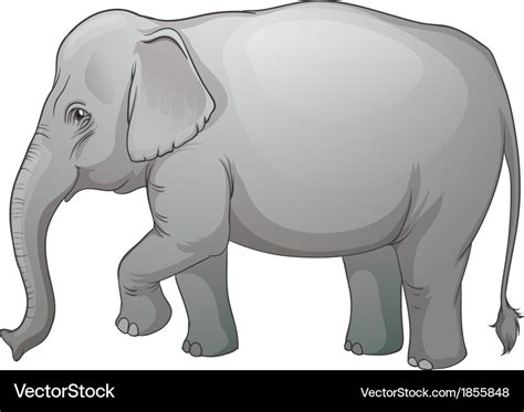 Asian elephant Royalty Free Vector Image - VectorStock