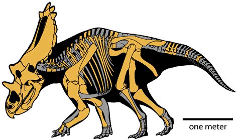 Utahceratops | Paleontology World