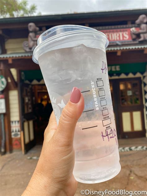 How You Get FREE Water Has CHANGED at Starbucks in Magic Kingdom ...