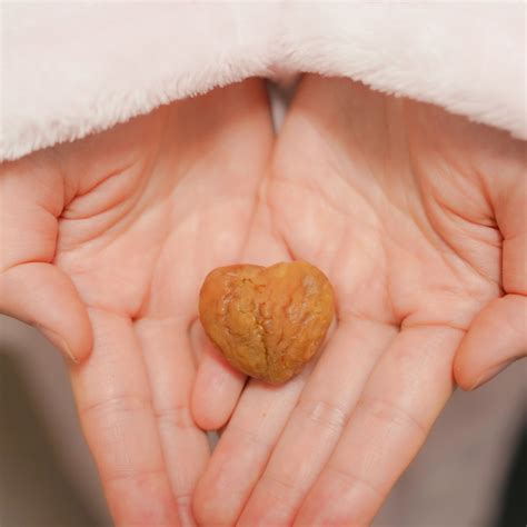 heart shape chestnut | Stuffed mushrooms, Heart shapes, Food