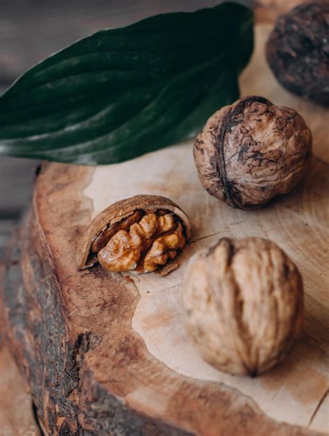 6 Easy Black Walnut Recipes