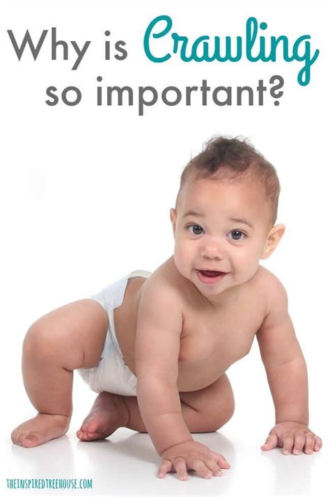 When Do Babies Start Crawling and Why is Crawling So Important? - The ...