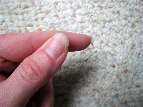 125/366 ~ the longest my fingernails have ever been | Flickr