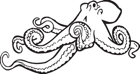 Octopus Sketch Drawing · Free vector graphic on Pixabay