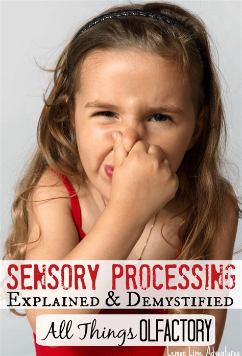 Sensory Processing Explained | Olfactory System