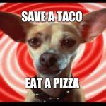 taco bell dog Meme Generator - Imgflip