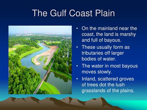 PPT - The Gulf Coastal Plain Region PowerPoint Presentation, free ...