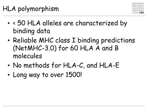 PPT - MHC binding and MHC polymorphism PowerPoint Presentation, free ...