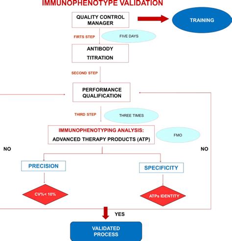 Immunophenotype validation protocol flow-chart. The immunophenotype... | Download Scientific Diagram