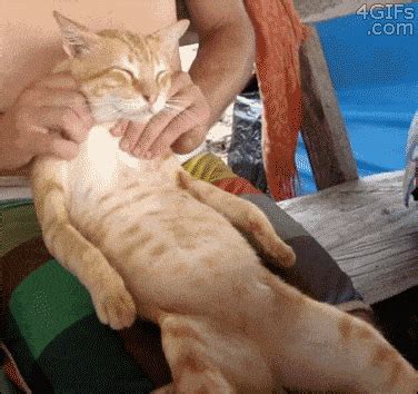 12 Relaxing GIFs to Help You Chill Out