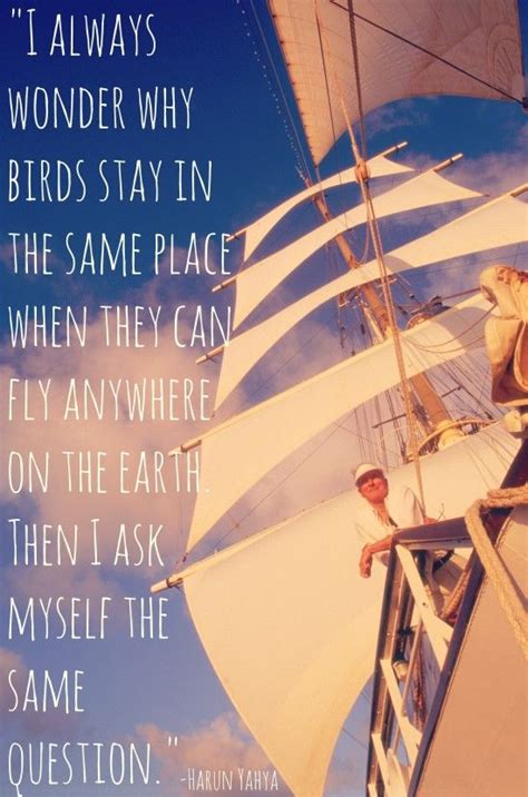 Fly, fly away! | Travel, Travel quotes, Wonder