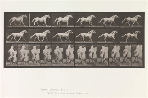 Eadweard Muybridge | Animal Locomotion. An Electro-Photographic Investigation of Consecutive ...