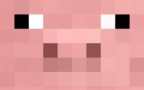 Minecraft Pig Wallpapers - Top Free Minecraft Pig Backgrounds - WallpaperAccess