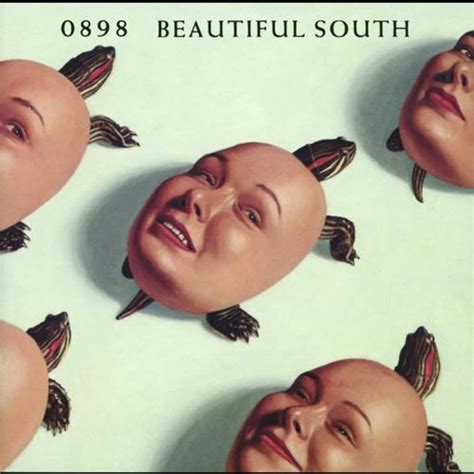 The Best Beautiful South Albums, Ranked By Fans