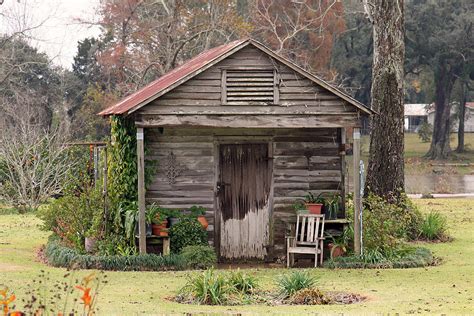 Old Cajun House Photograph by Ronald Olivier