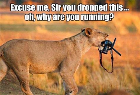 30 Funny animal captions - part 21 (30 pics) | Amazing Creatures