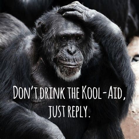 Don't drink the Kool-Aid, just reply. | Inspirational posters ...