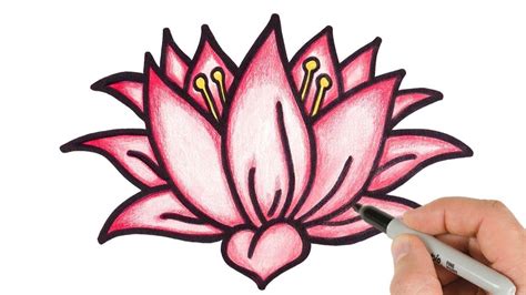 How to Draw Lotus Flower Step by step easy drawing for kids and beginners. | Lotus flower ...