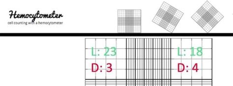 Hemocytometer calculation tutorial • Hemocytometer