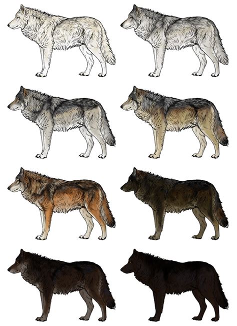 wolf fur - Google 검색 | Animal drawings, Wolf colors, Wolf drawing