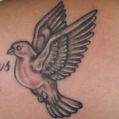 peace dove tattoo - kamaci images - Blog.hr
