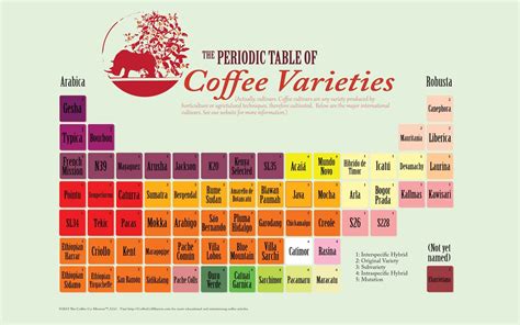 Infographic: Periodic Table of Coffee Varieties or Cultivars | Coffee ...