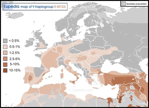 Maps of Y-DNA haplogroups in and around Europe | Map, Europe map, Genetics