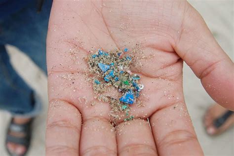 The toxic impact of microplastics in the human body - Geographical