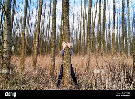 Man hiding in tree hi-res stock photography and images - Alamy