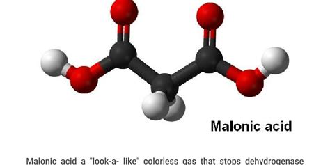 Malonic acid - Infogram