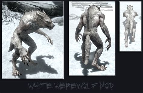 White Werewolf Texture by crowhitewolf on DeviantArt