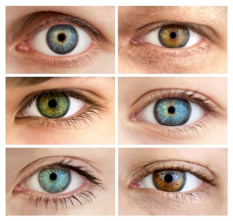 Genetics of Eye Color
