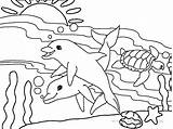 Dolphin Coloring Pages  Free Printable For Kids sketch template