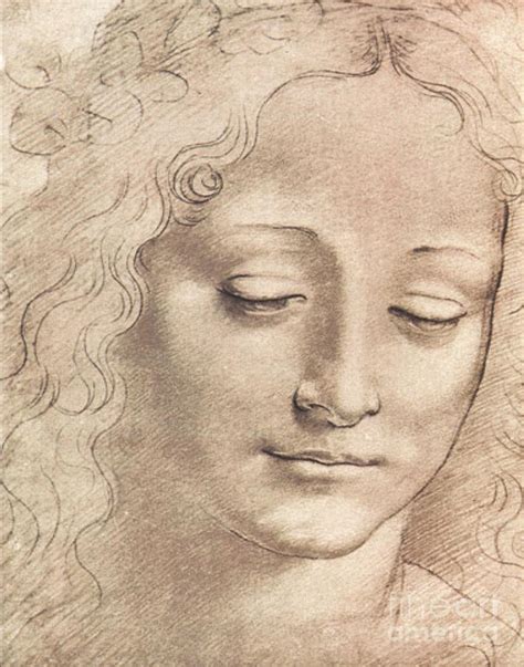 Leonardo Da Vinci Head Of A Woman Sketch Drawing By Paper Moon Fine Art ...