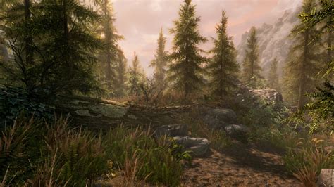 Bethesda Working to Make Skyrim Remaster "as Next-Gen as Possible" For Current Consoles