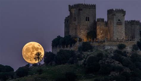 Supermoon Wallpapers Free Download || Awesome 11 Striking Pictures of Supermoon || Wonderful ...