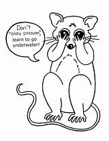 Opossum Coloring Page At GetColoringscom  Free Printable Colorings sketch template